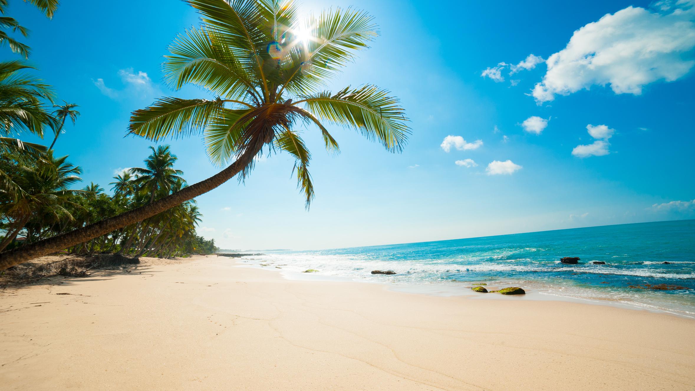Reisebüro Dedolf, Leipziger Straße in Braunschweig
