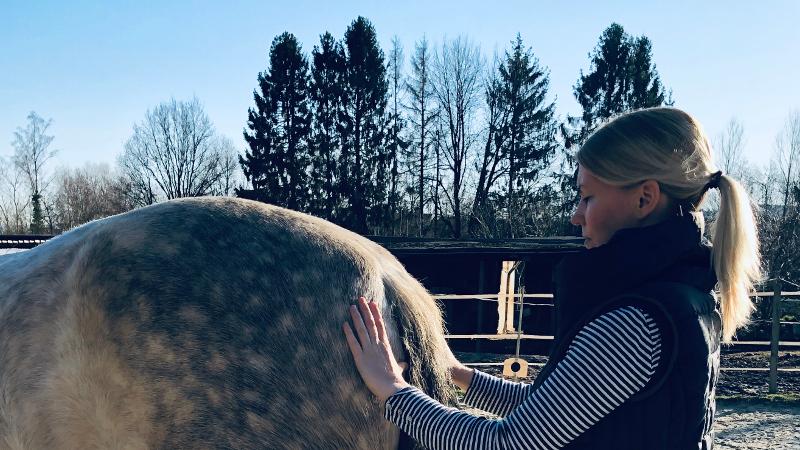 Laura Everding - Osteopathie und Physiotherapie für Pferd & Hund, Heideweg in Dortmund