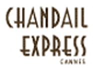 Chandail Express vêtement pour femme (détail)