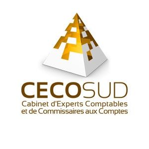 Cecosud Associés commissaire aux comptes