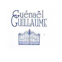 Guillaume Guenaël Expert