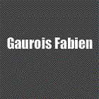 Gaurois Fabien Expert