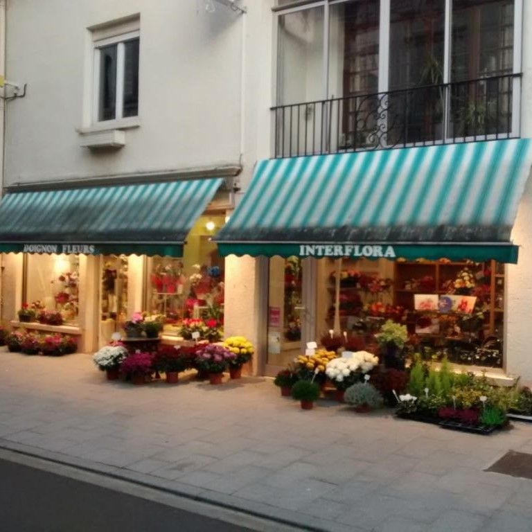 galerie image galerie image