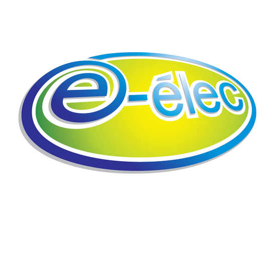 E-elec EURL station technique pour voiture électrique