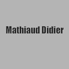 Mathiaud Didier Expert
