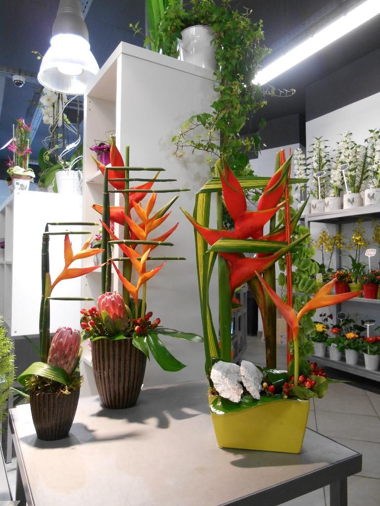 galerie image