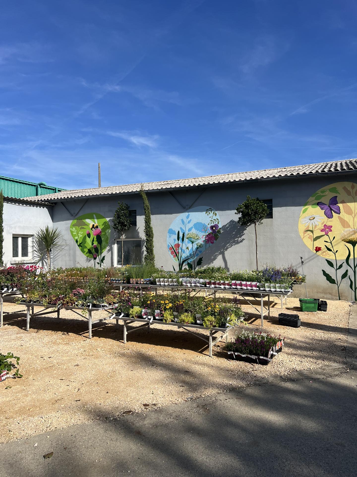 galerie image