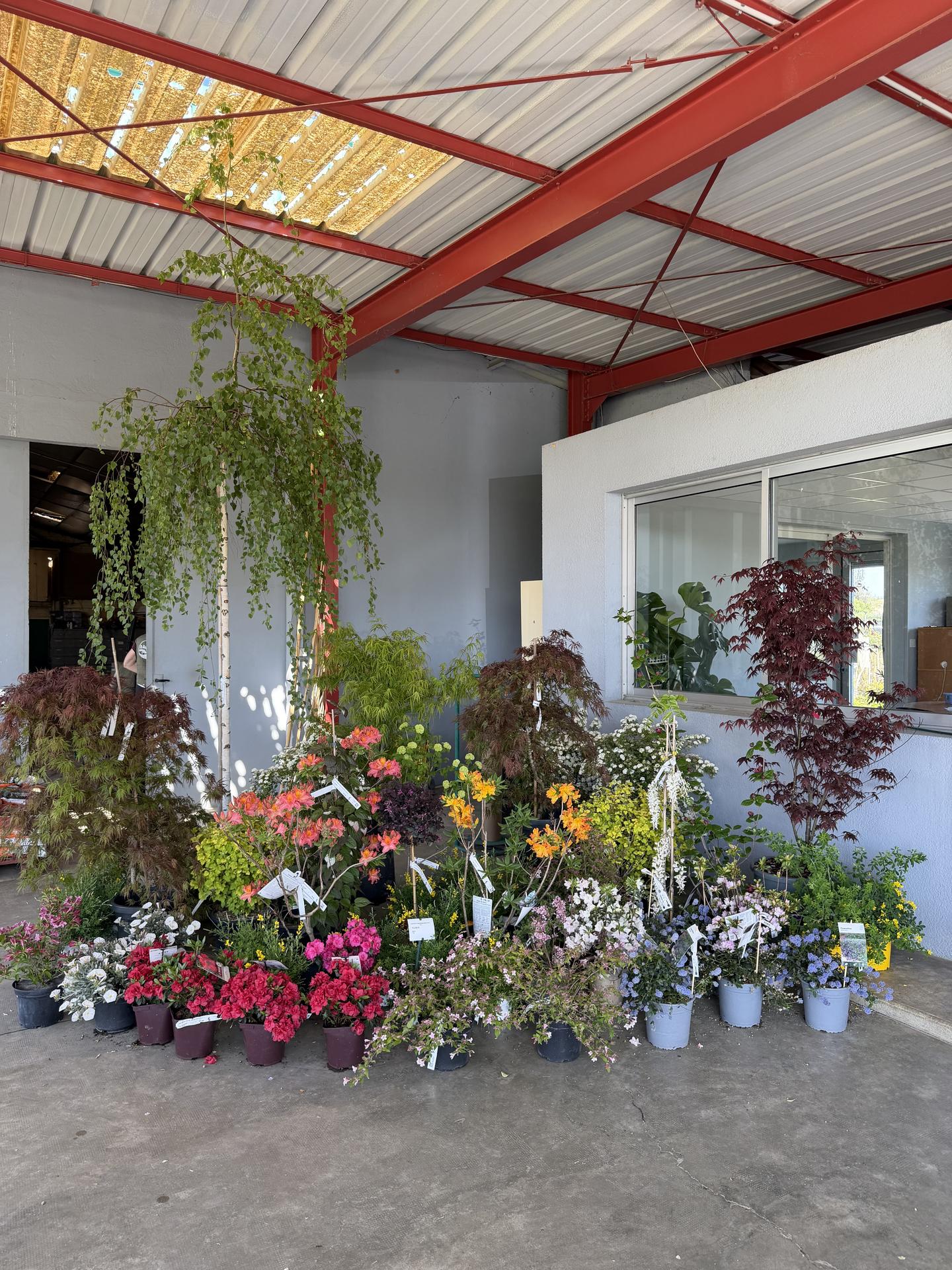 galerie image