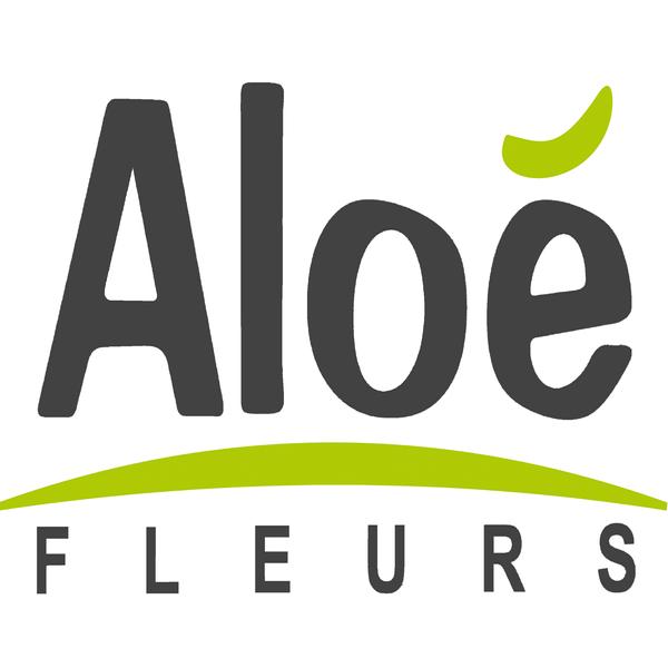 Aloé Fleurs architecte d'intérieur