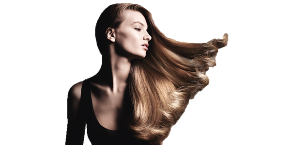 St'iI et Elle Coiffure, beauté
