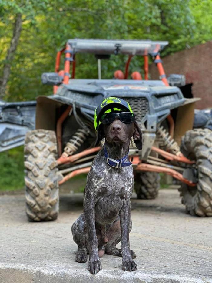 Riders Paradise Image