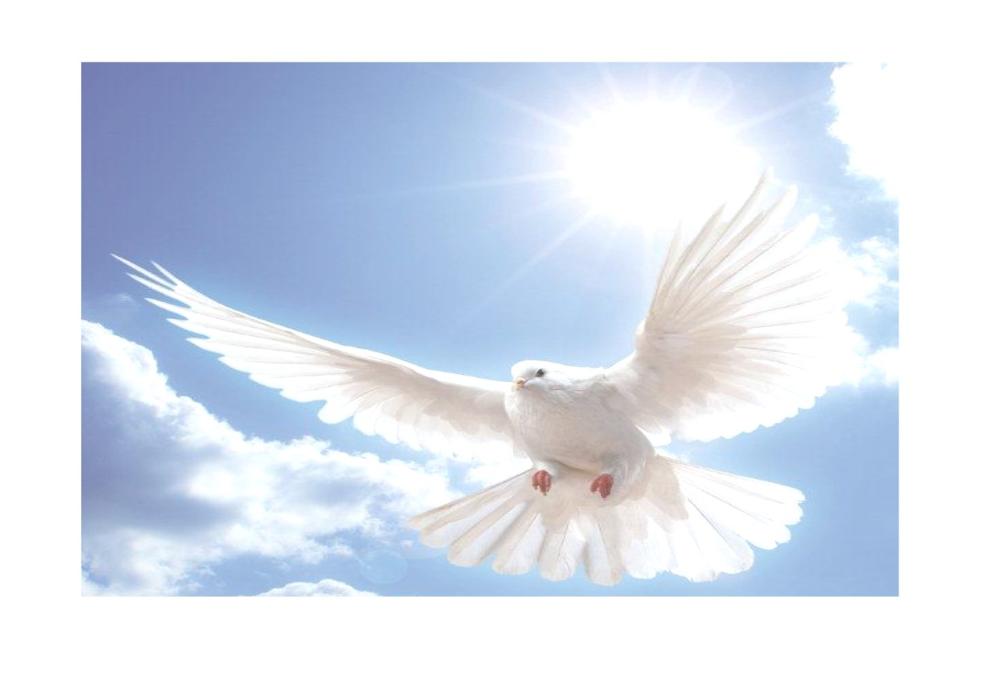 Bestattung Killian GmbH, Dornauer Straße in Leobersdorf