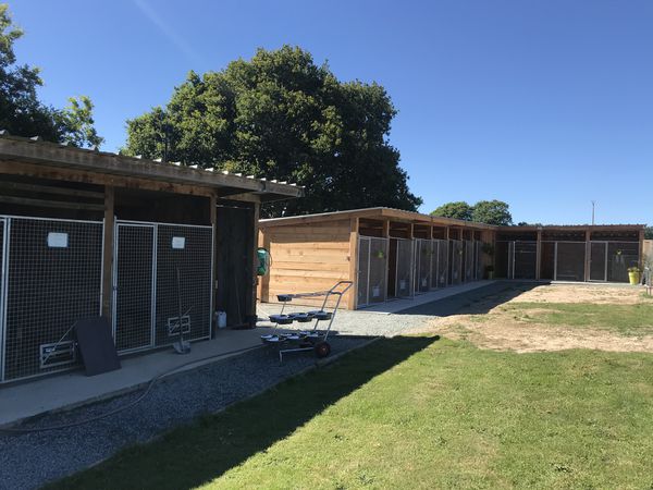 Cani Pension chenil, pension pour chiens et chats