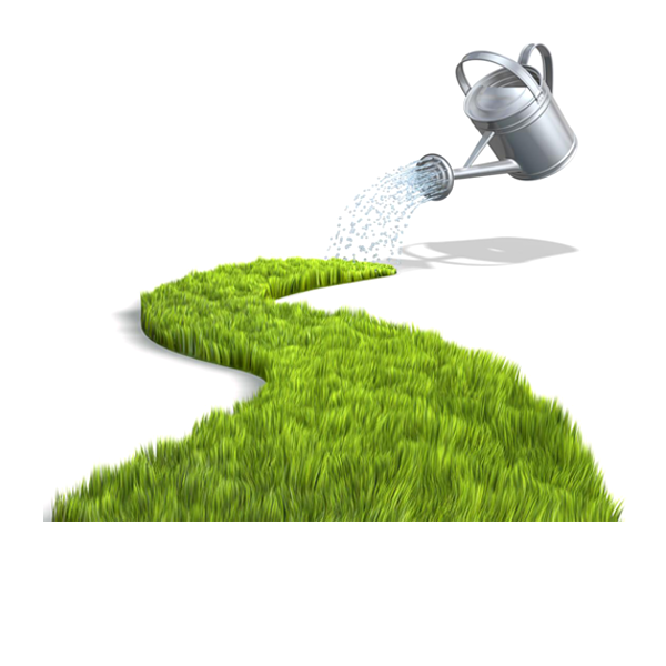 LD Paysage SARL paysagiste conseil