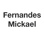 Fernandes Mickael Expert