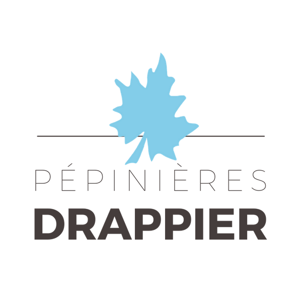 Pépinières Drappier jardinerie, végétaux et article de jardin (détail)