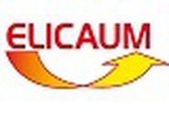 Elicaum