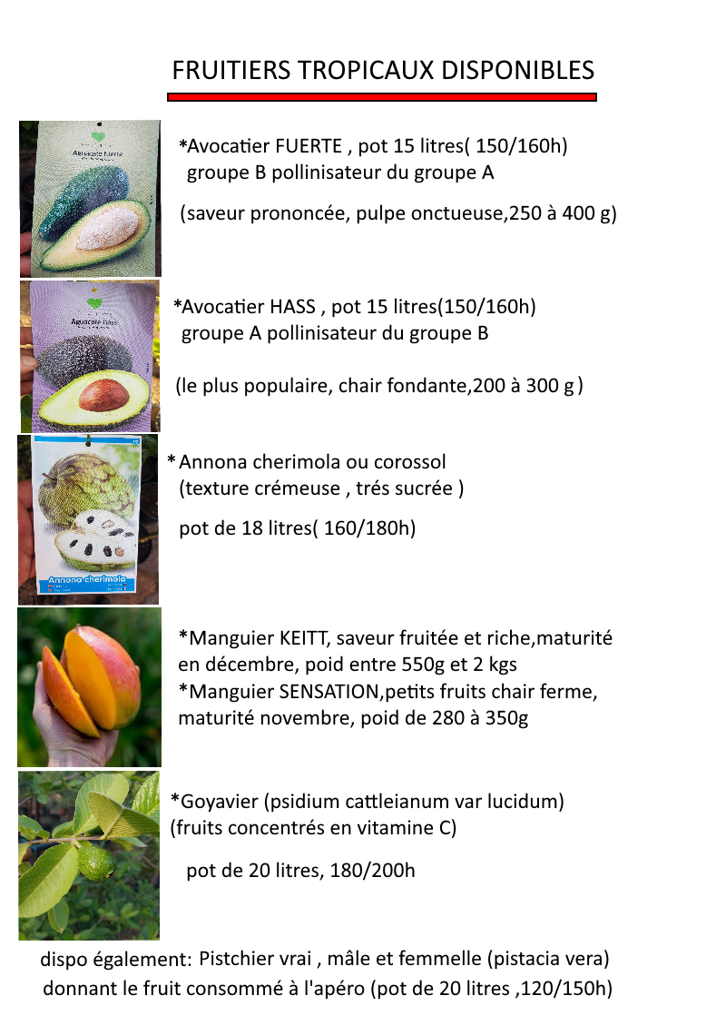 galerie image