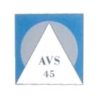 Audio Video Service 45 vente, installation et réparation d'antenne pour télévision