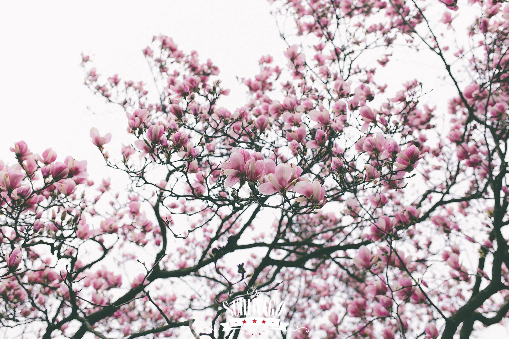 Fotos - Eventlocation Angerhof - 17