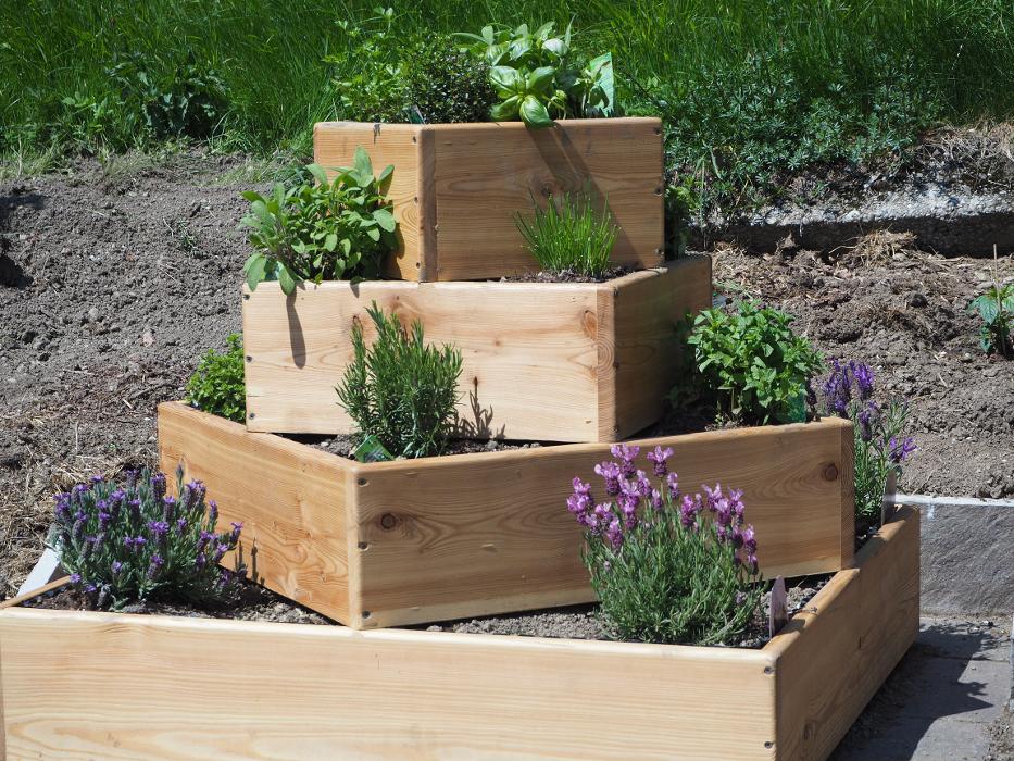 Nagler - Holz GmbH & Co KG, Riedegg in Riedegg