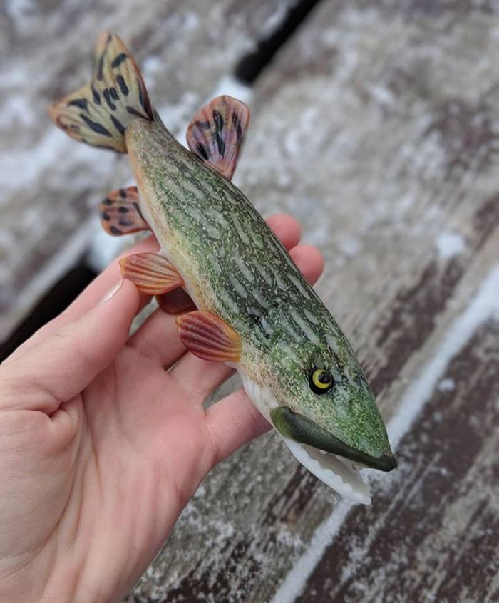 Discontent Lifestyle Stores - Fargo, ND