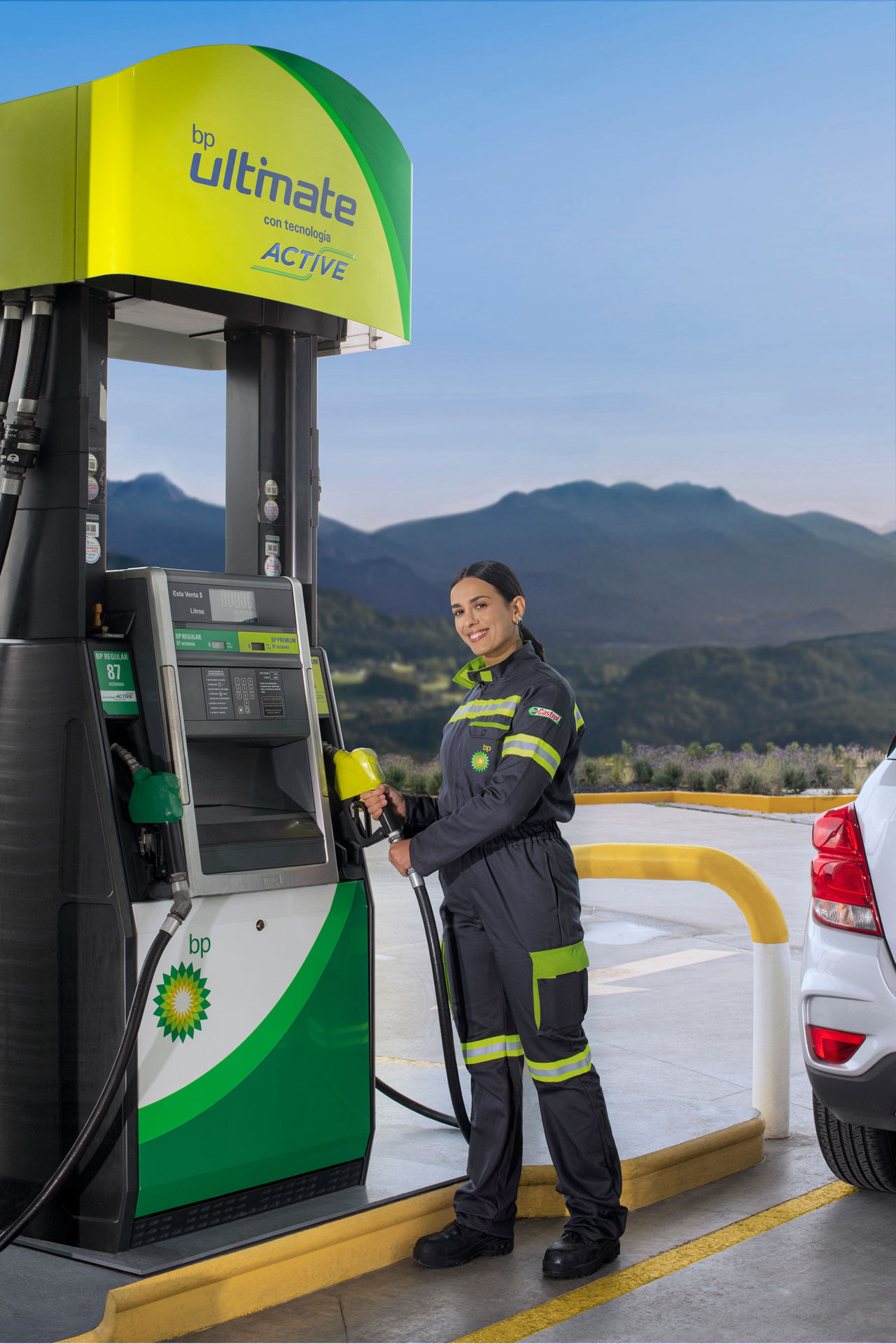 Galería en miniatura