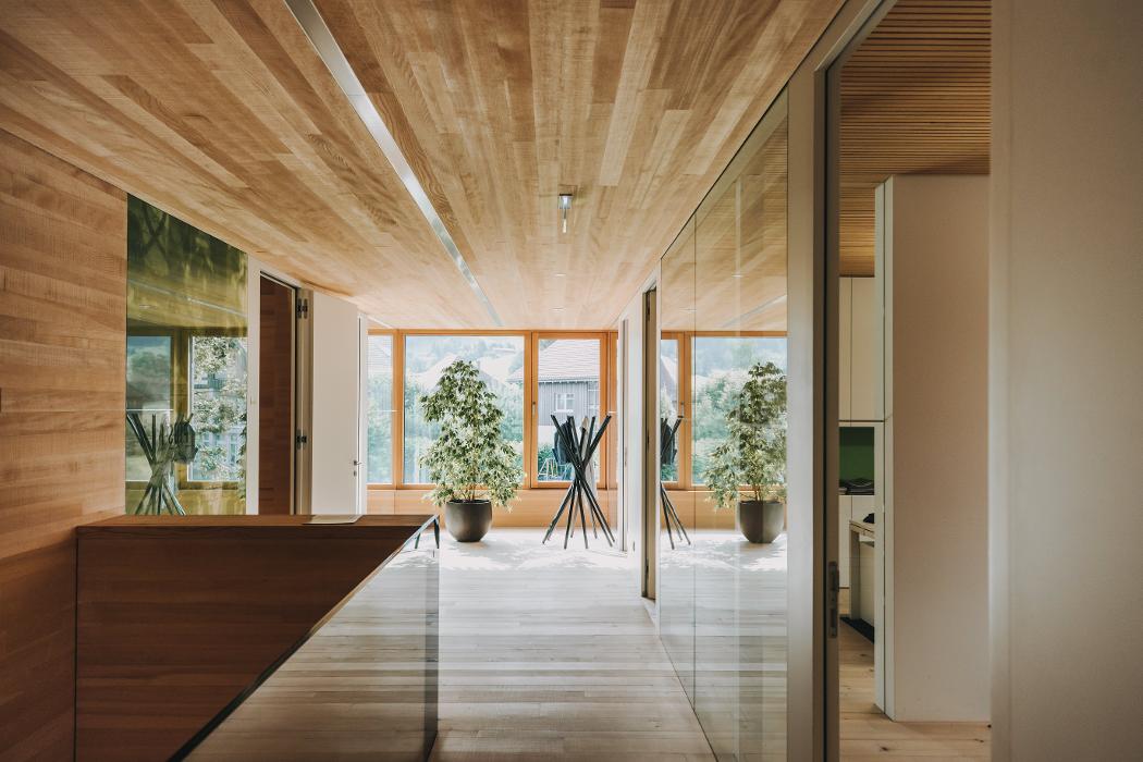 Wälder Versicherung VaG, Hof in Andelsbuch