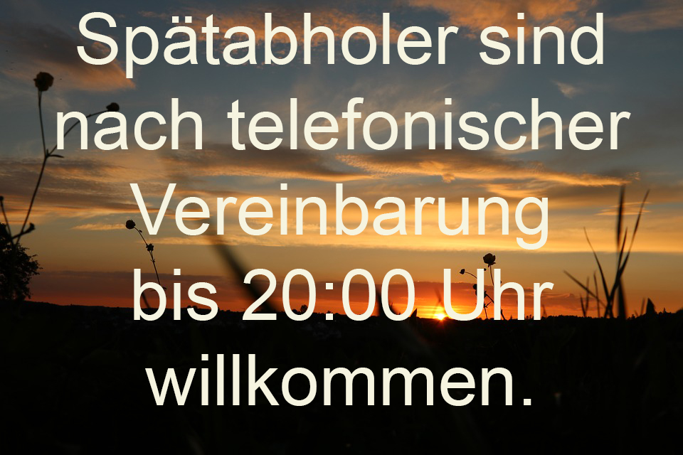 Galerie-Thumbnail