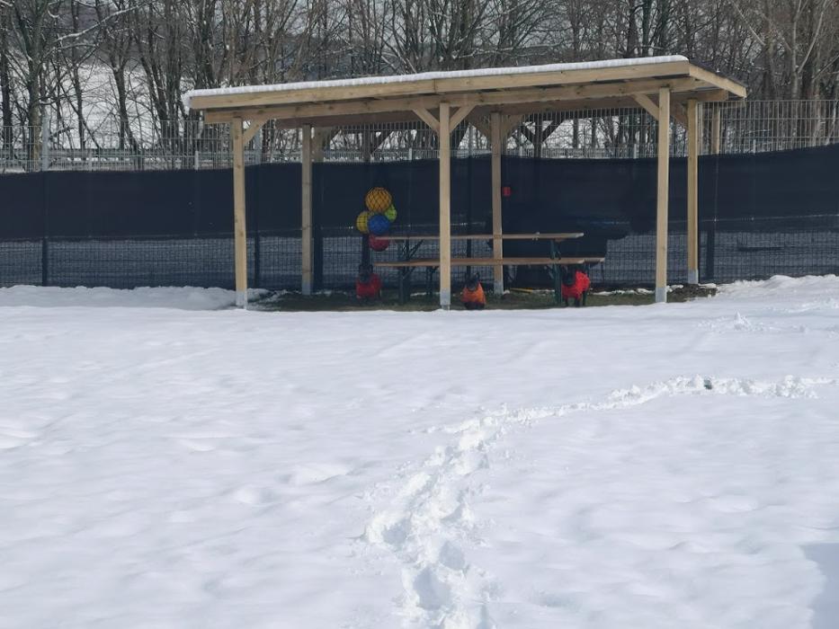 caniplace, Langemer Straße in Thalfang