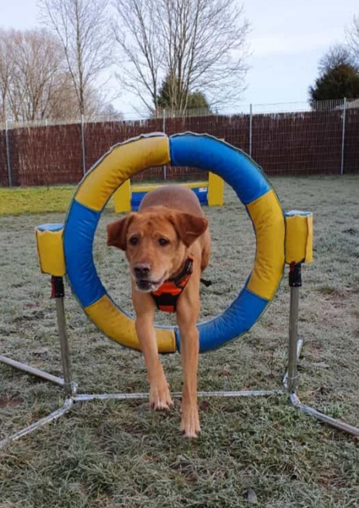 caniplace, Langemer Straße in Thalfang