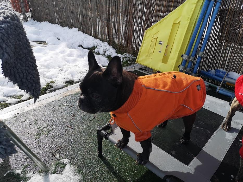 caniplace, Langemer Straße in Thalfang