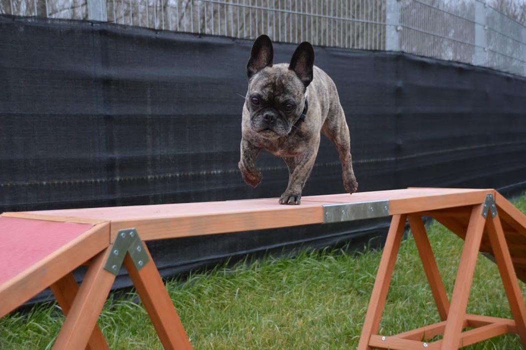 caniplace, Langemer Straße in Thalfang