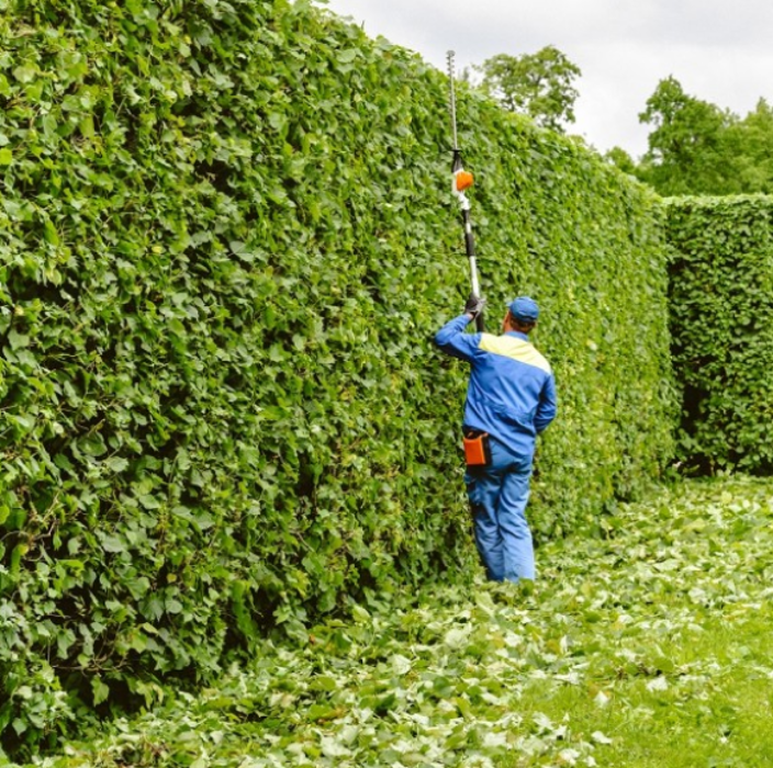 L.V. Landscaping & Concrete Works - Riverside, CA