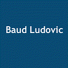 Baud Ludovic Expert