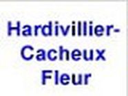 Hardivillier Cacheux Fleur