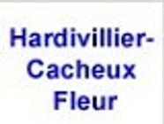 Hardivillier Cacheux Fleur établissement financier