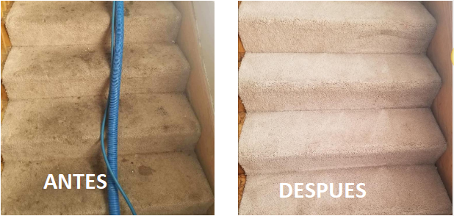 Lucas Carpet Cleaning - Perris, CA