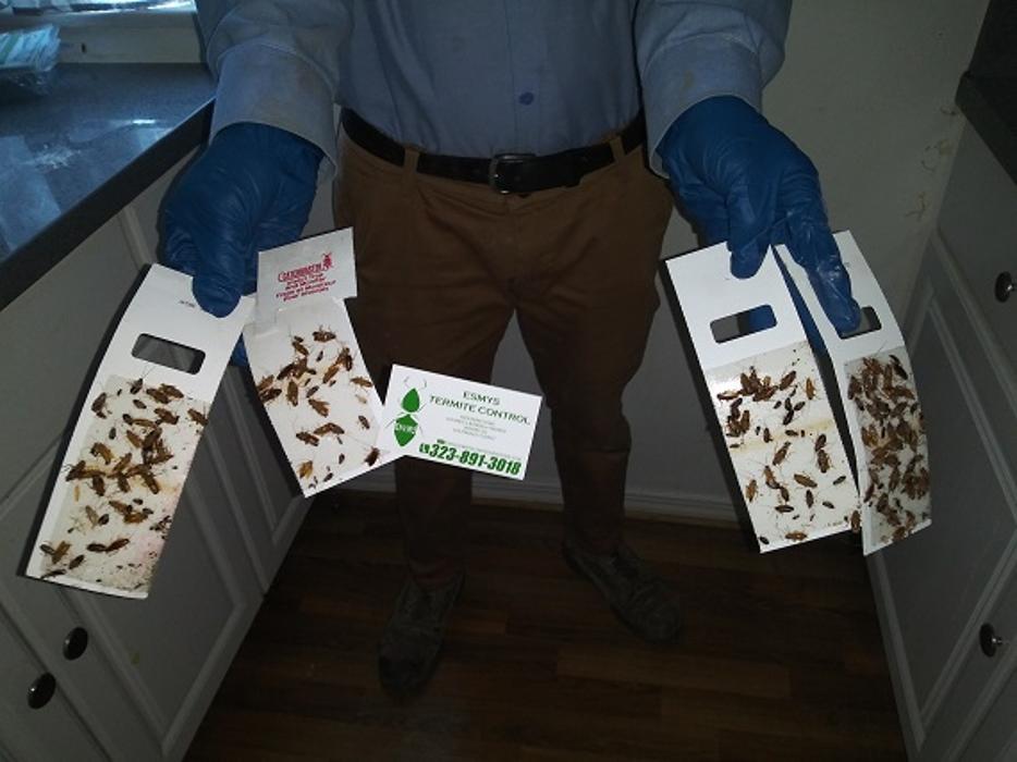 Esmy's Termite Control - Van Nuys, CA