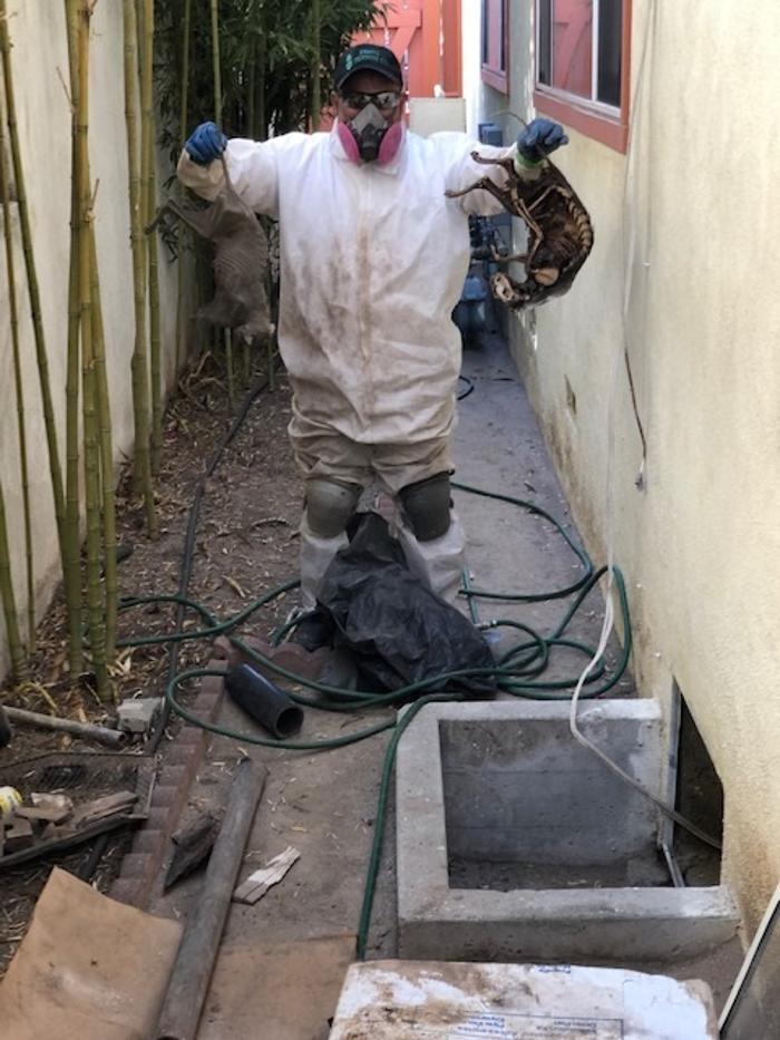 Esmy's Termite Control - Van Nuys, CA