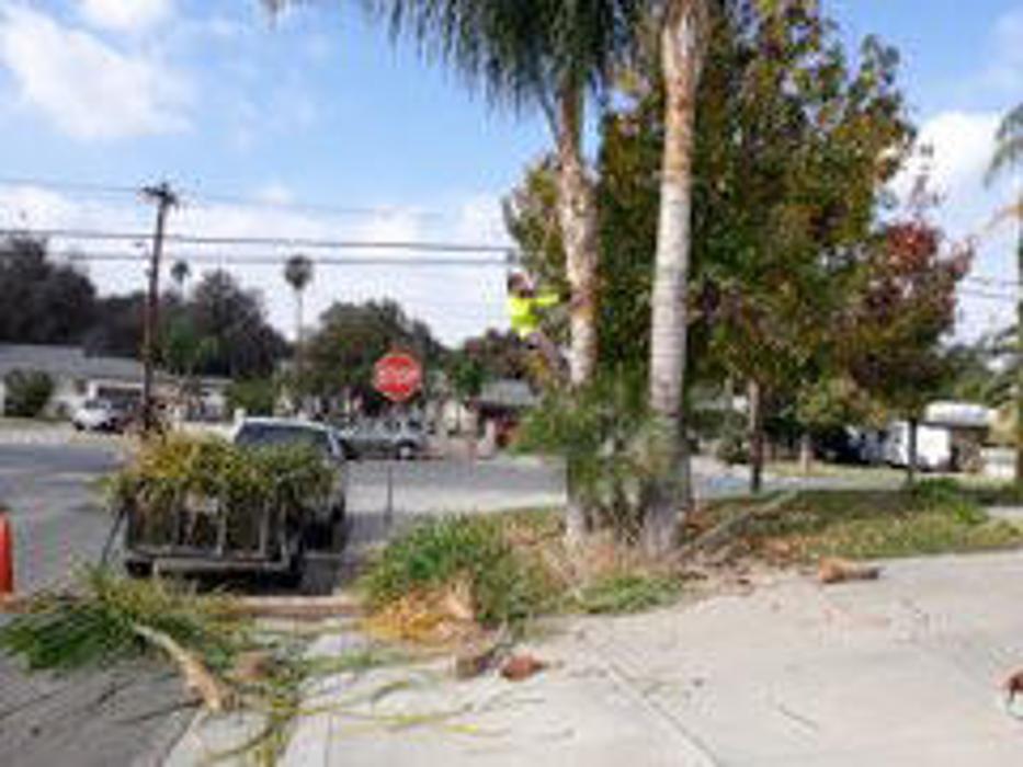 JV's Gardening Services - Riverside, CA