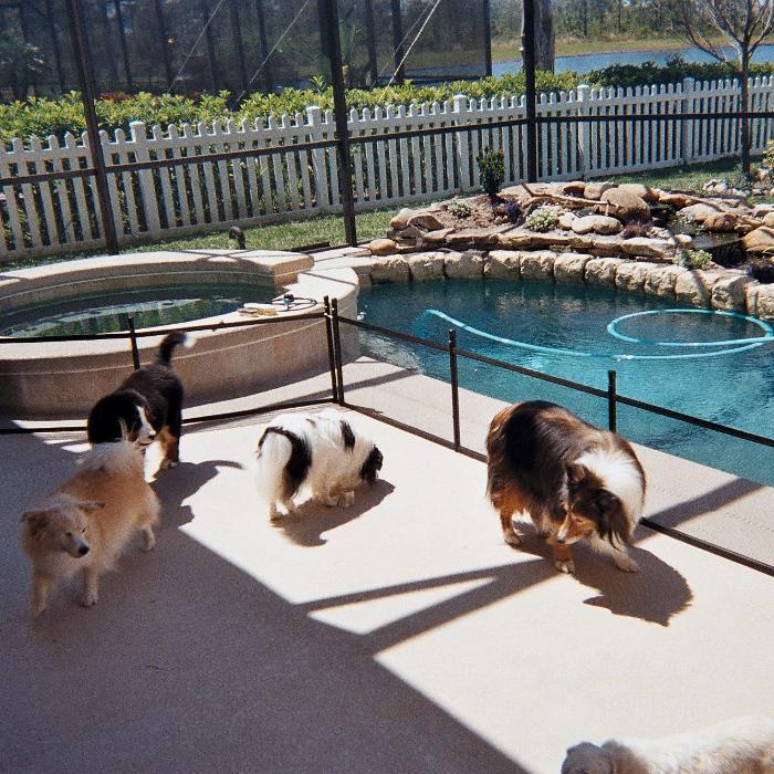 Pool Guard Pros - Fort Lauderdale, FL