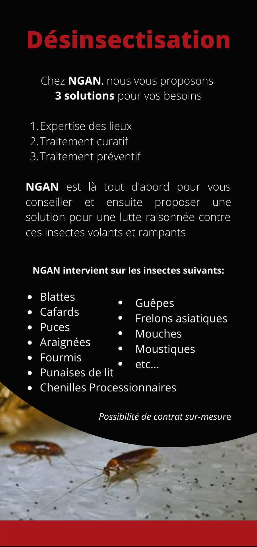 galerie image
