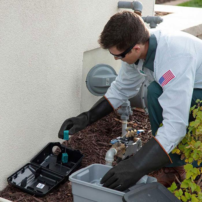 Edge Pest Control and Mosquito Services - Auburn, WA