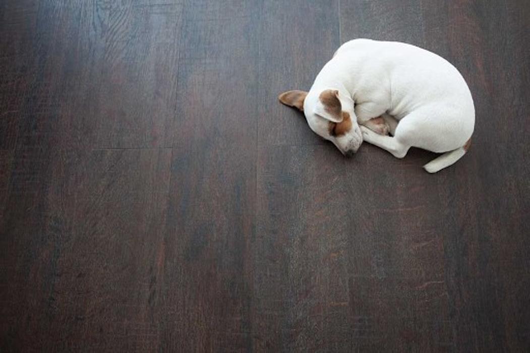 HOTWORX - Peachtree City, GA - Peachtree City, GA