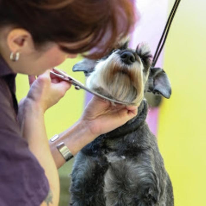Wag N' Wash Natural Pet Food & Grooming - Phoenix, AZ