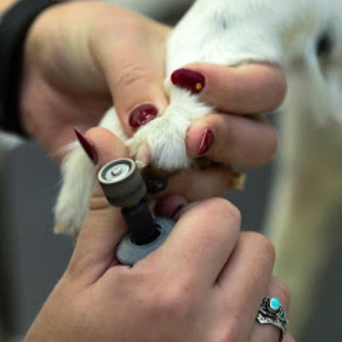Wag N' Wash Natural Pet Food & Grooming - Phoenix, AZ