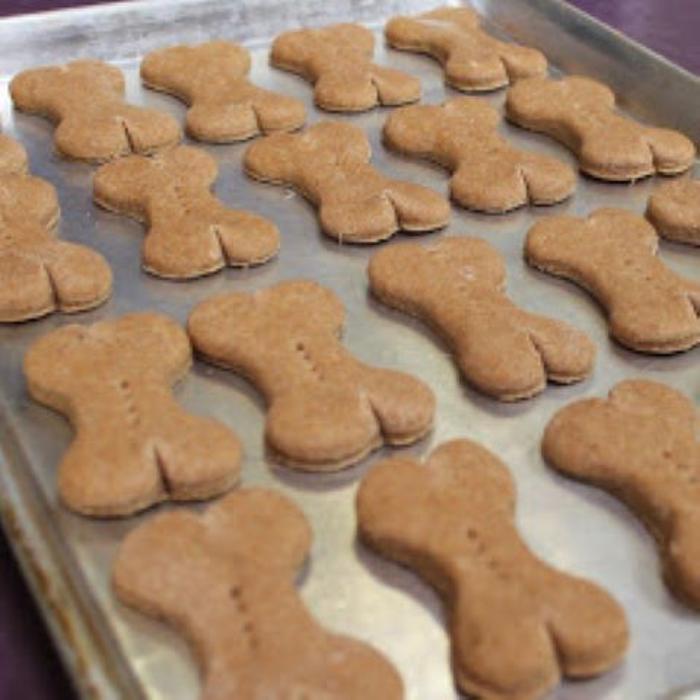 Wag N' Wash Natural Pet Food & Grooming - Phoenix, AZ