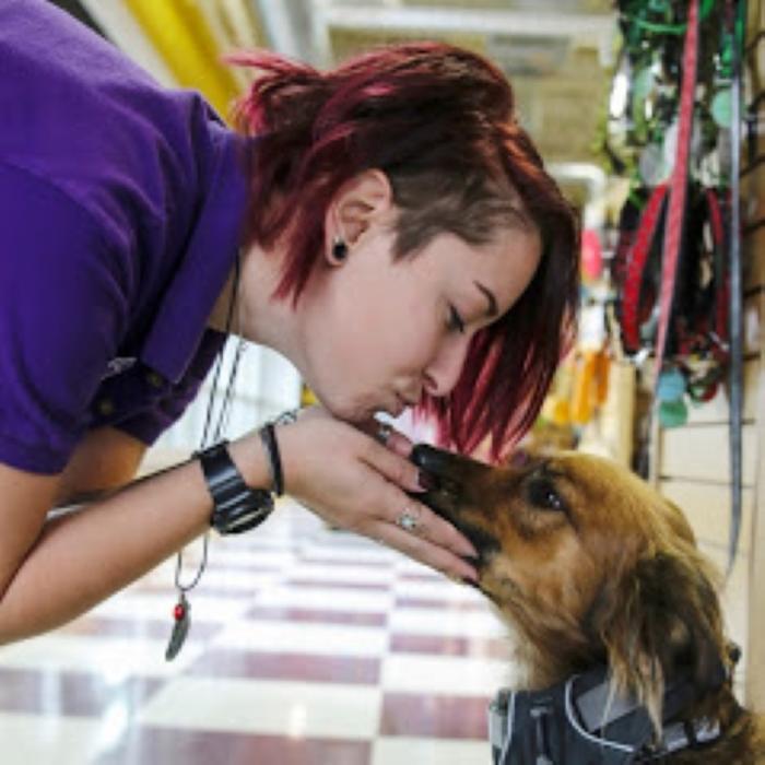 Wag N' Wash Natural Pet Food & Grooming - Phoenix, AZ
