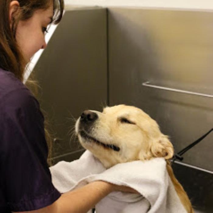 Wag N' Wash Natural Pet Food & Grooming - Phoenix, AZ